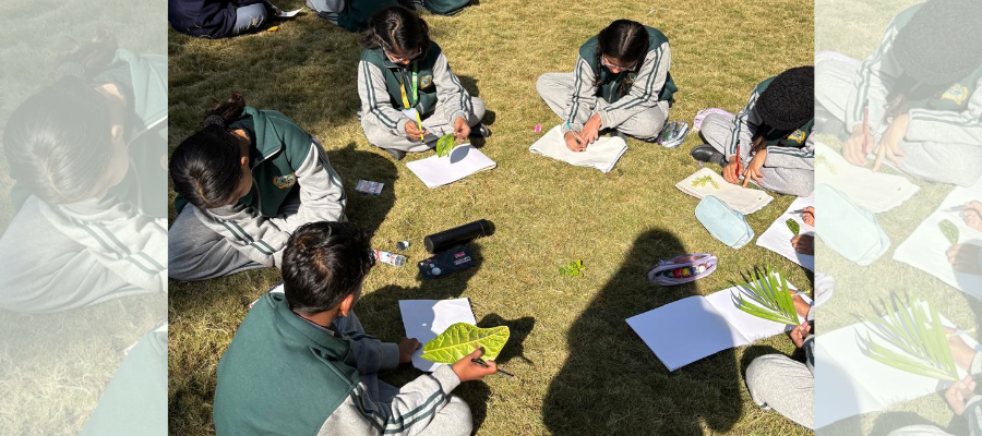 Top School for Playgroup to VIII