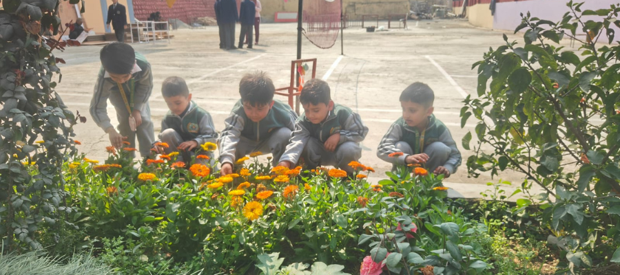 Inspiring Sapling Planting by Students