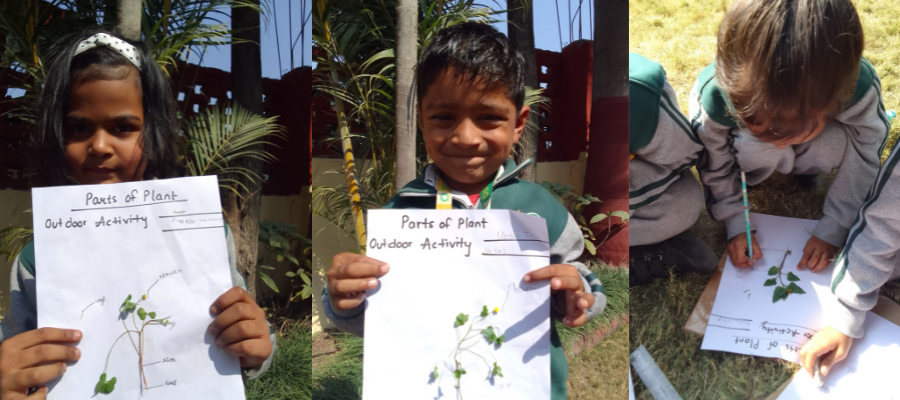 Fun Learning of Plant Parts in LKG