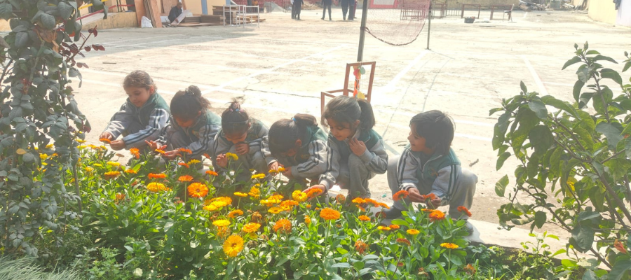 Inspiring Sapling Planting by Students