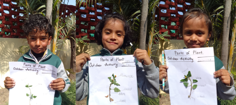Fun Learning of Plant Parts in LKG
