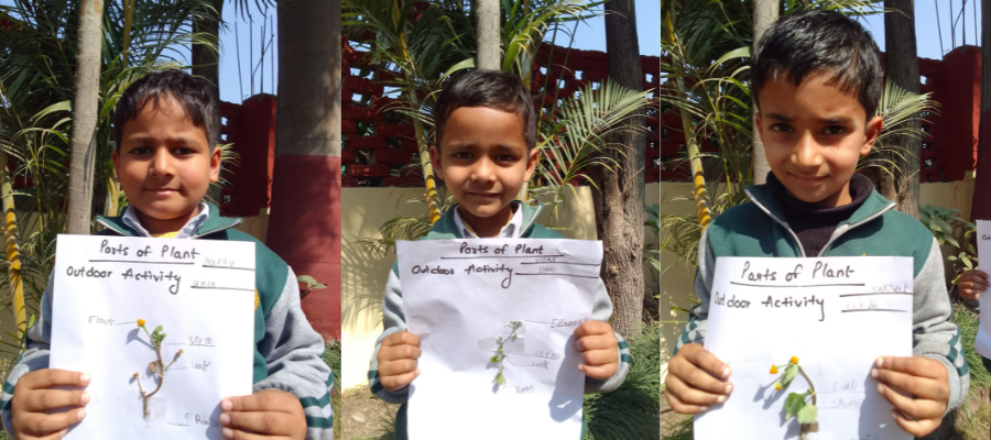 Fun Learning of Plant Parts in LKG