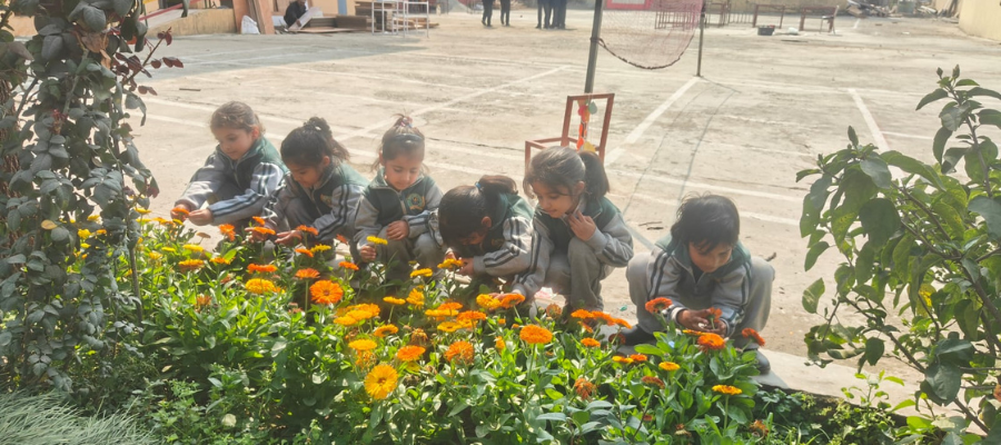 Inspiring Sapling Planting by Students