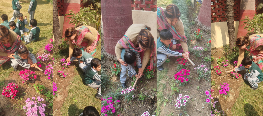 Inspiring Sapling Planting by Students