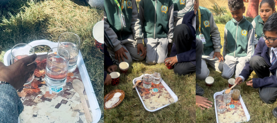 Exciting National Science Day Activities