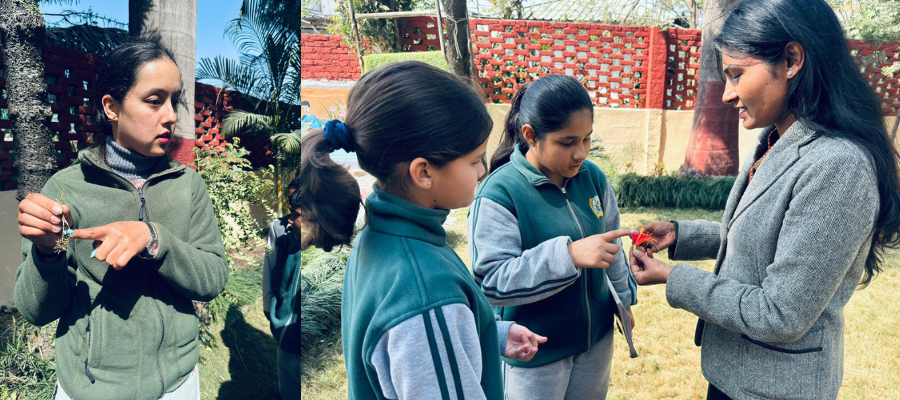 Exciting National Science Day Activities