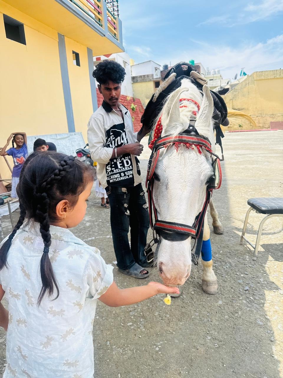 Horse Riding Activity