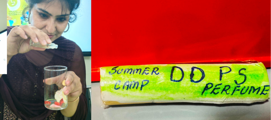 Wonderful Summer Camp Memories