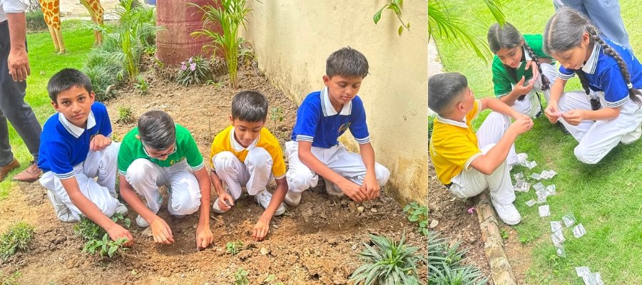 Inspiring Harela Diwas Plantation Drive