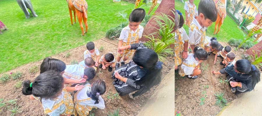 Inspiring Harela Diwas Plantation Drive